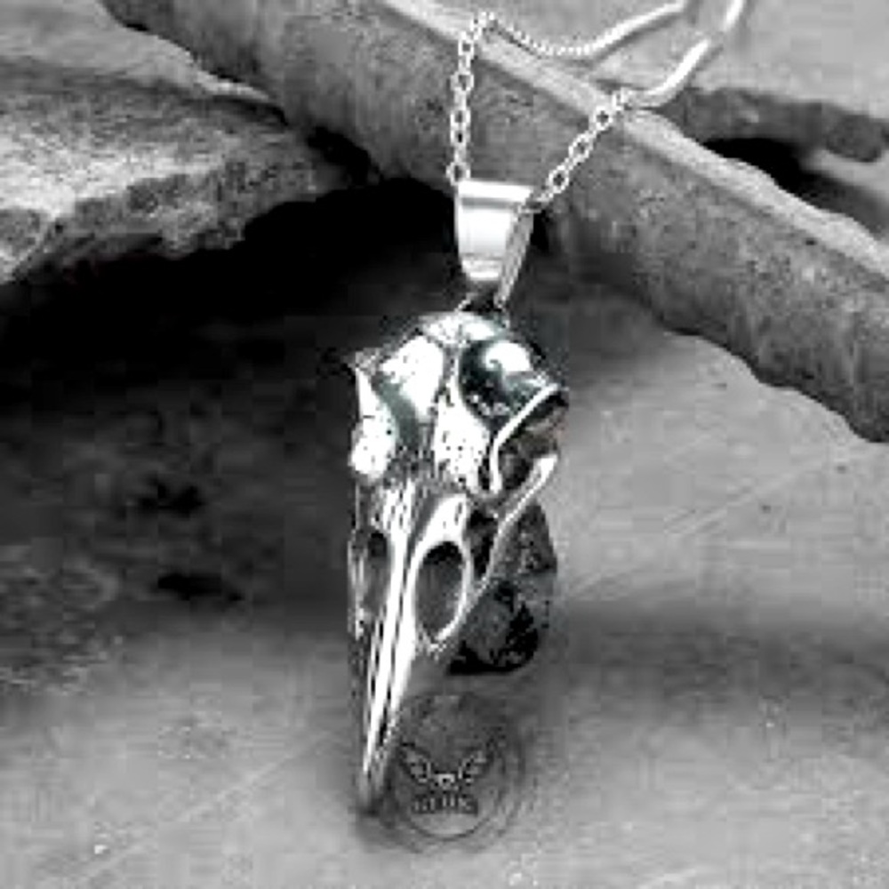Raven Skull Stainless Steel Viking
Pendant